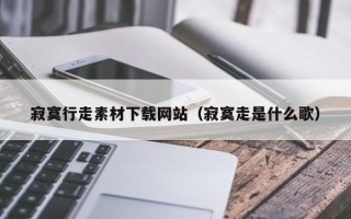宁夏寂寞行走素材下载网站（寂寞走是什么歌）