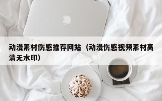 宁夏动漫素材伤感推荐网站（动漫伤感视频素材高清无水印）